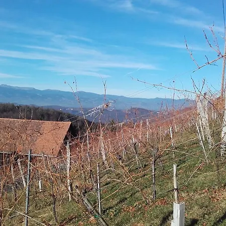 Kleissner Großklein