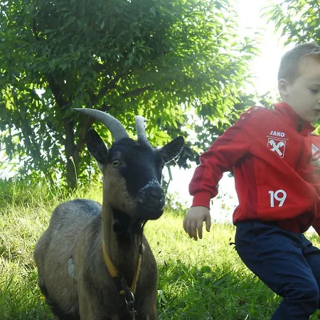 Kleissner アパート *