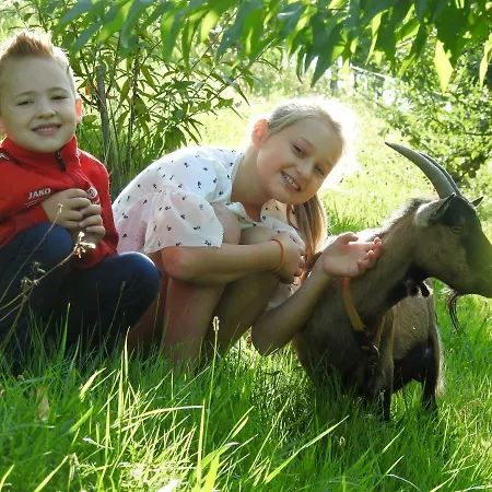 Kleissner アパート