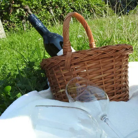 Kleissner アパート