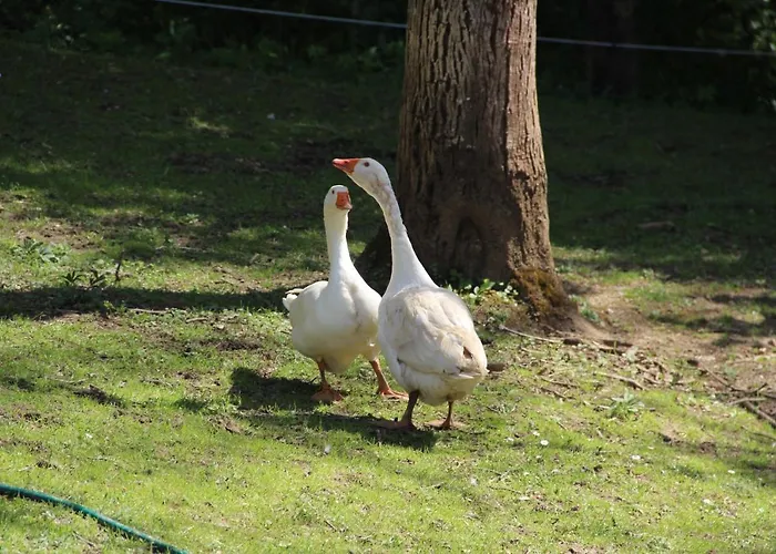 Apartamento Kleissner