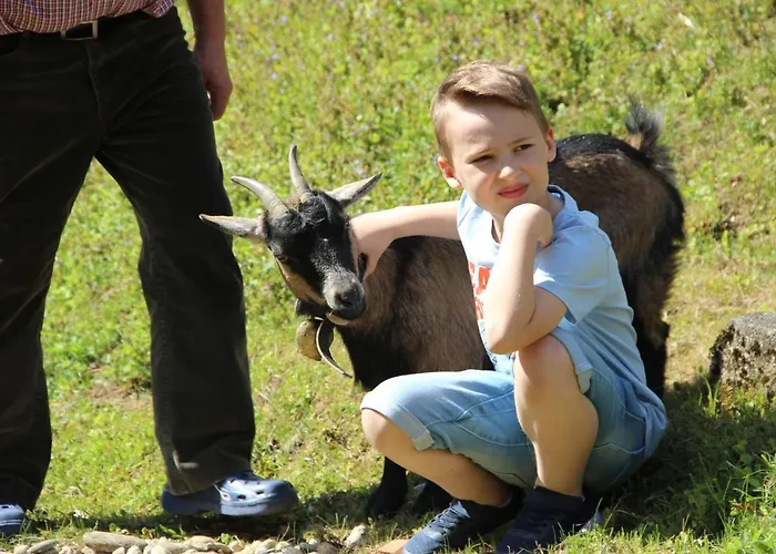 Kleissner Apartamento *