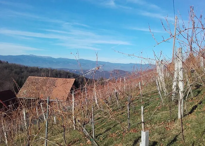 Kleissner Großklein