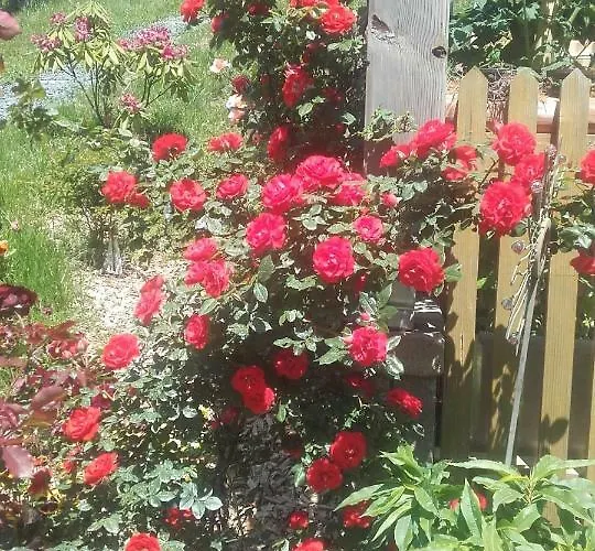 Apartamento Kleissner Großklein