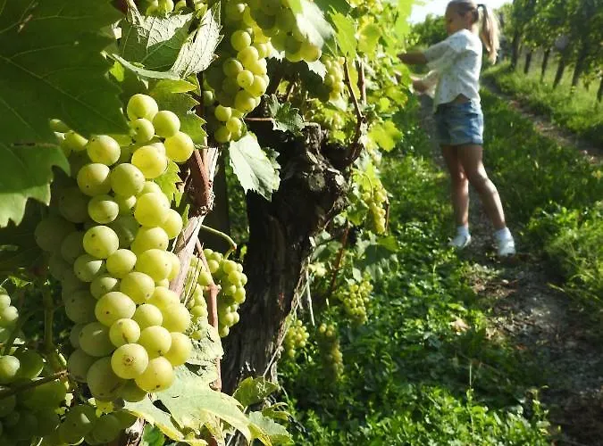 Kleissner * Großklein