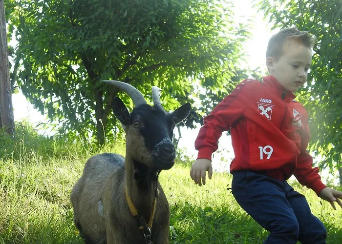 Kleissner 아파트 *