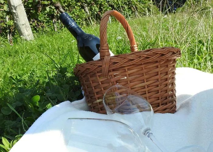 Kleissner Apartamento